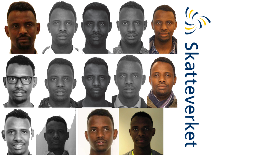 Skatteverket: Vi kontrollerar bara om bedragaren själv vill