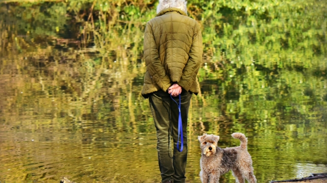 Malmö åter drabbat av dödliga hundfällor
