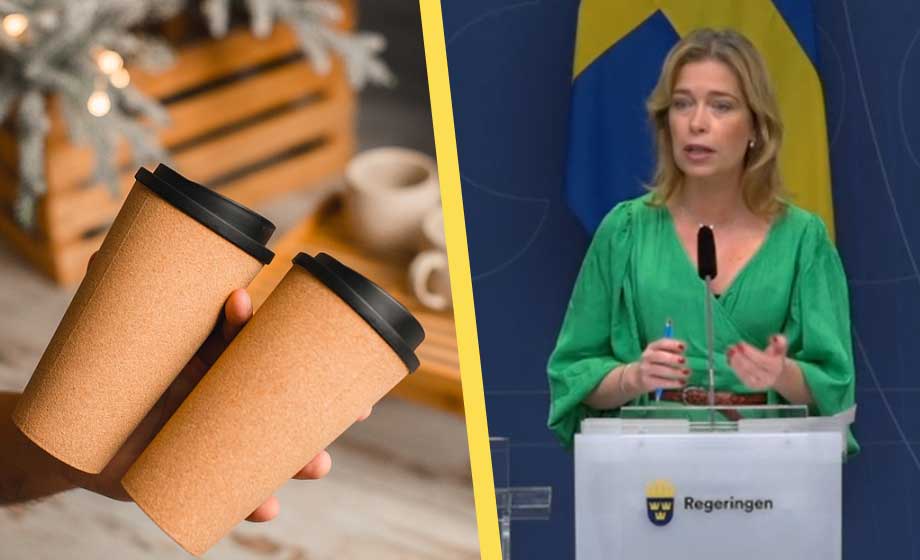 Regeringen vill rädda världshaven – inför åtgärdsprogram mot plast