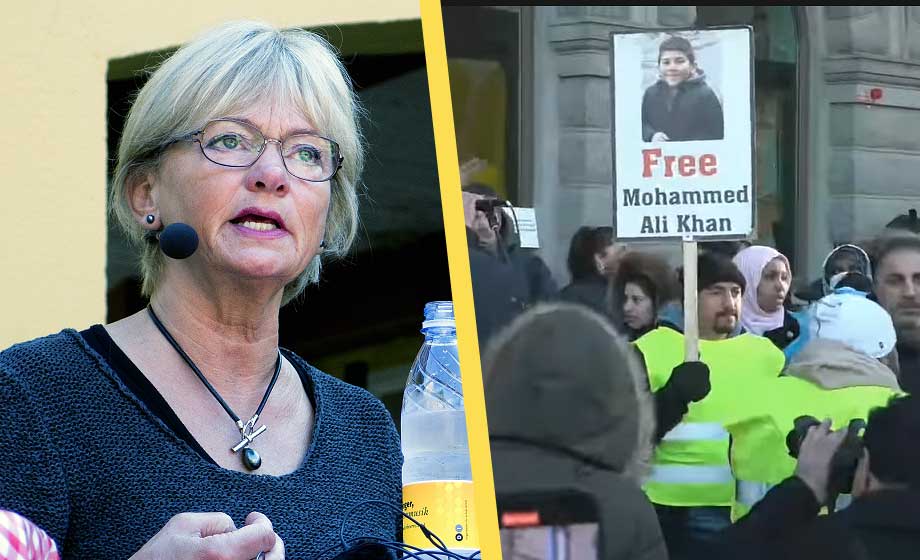 Pia Kjærsgaard: Massinvandring till Sverige ett historiskt svek mot folket