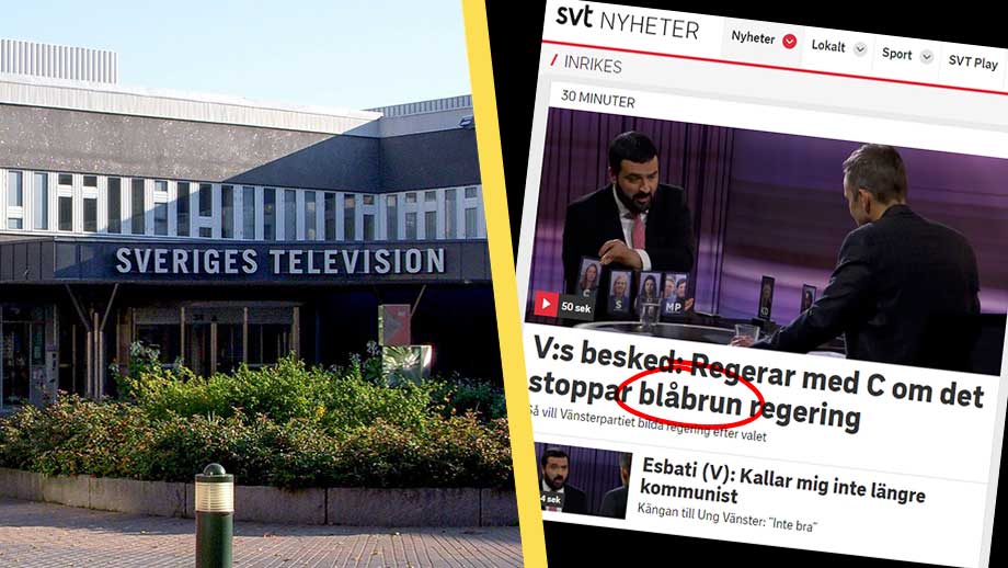 SVT antar ”blåbrun” som beteckning för konservativt regeringsalternativ