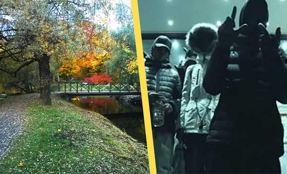 15-tal i gäng förnedrade två pojkar – tvingade av kläder