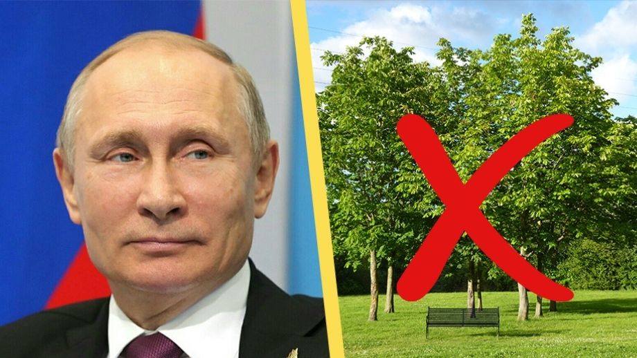 Ryssland portas från internationell trädtävling