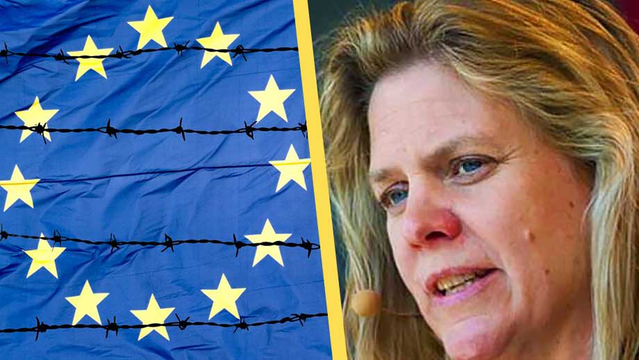 EU vill förbjuda ’klimatbovar’ att ställa upp i val – svenska regeringen positiv