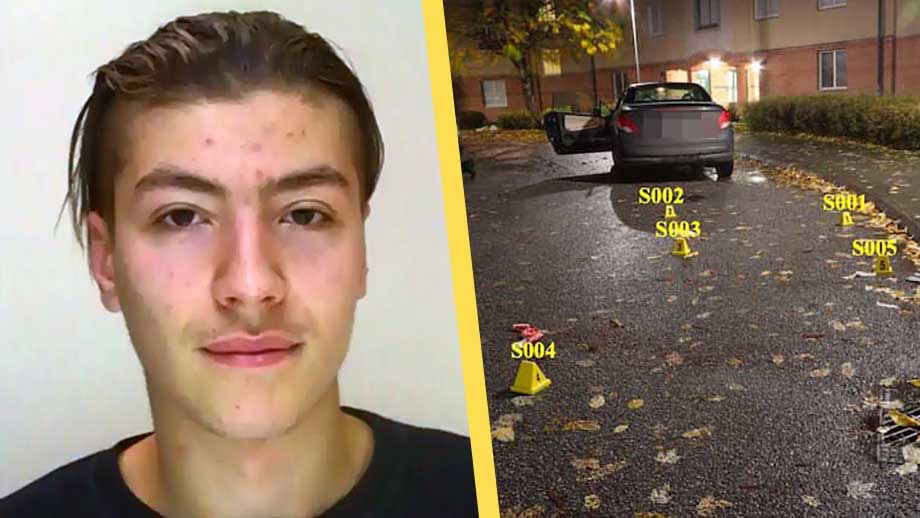 Semir Hasooni döms till livstids fängelse för avrättningsmord