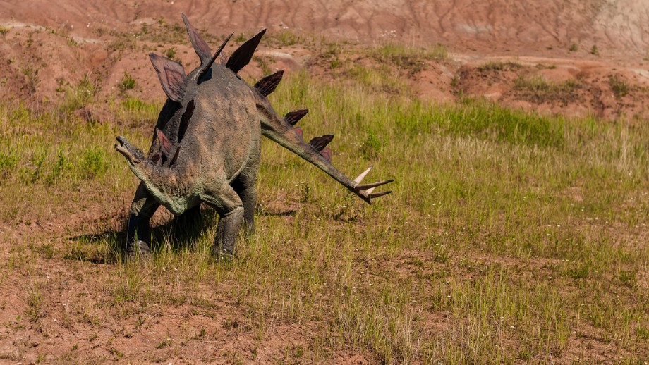 Ny art av Stegosaurus upptäckt – kan vara världens äldsta