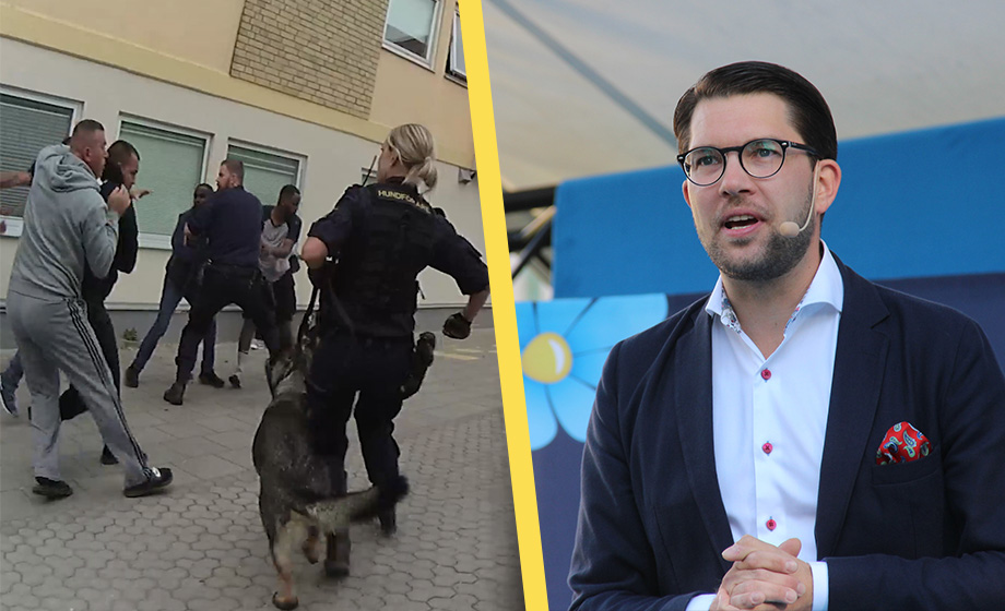Stödet för SD:s politik RASAR på flera områden