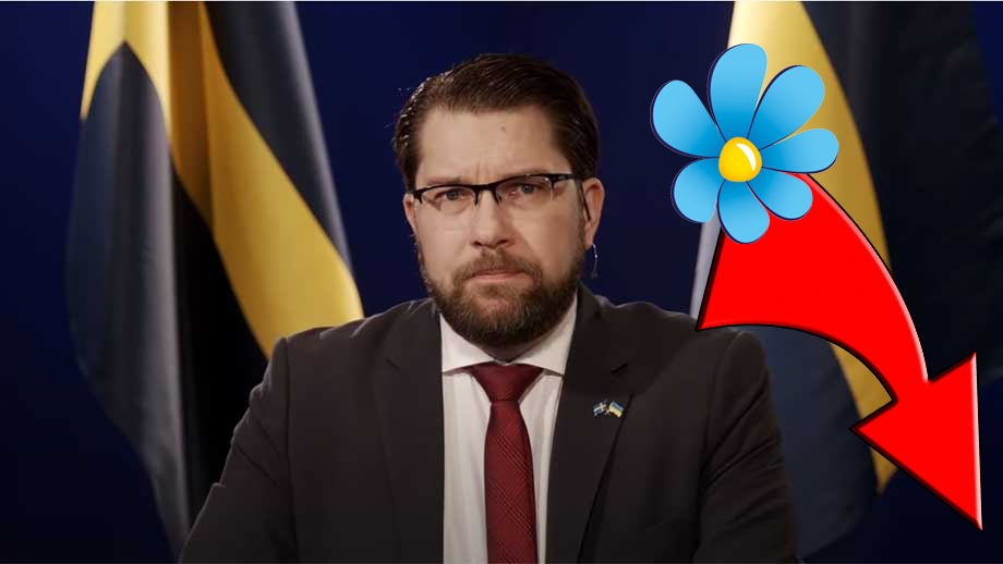 RASET: SD backar stort