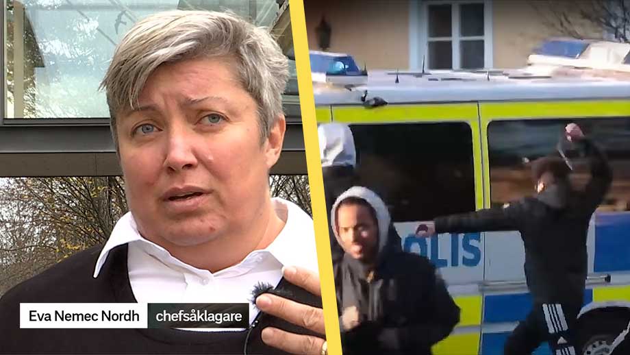 Åklagaren: ”Skrämmande se mammor med småbarn kasta sten mot polisen”