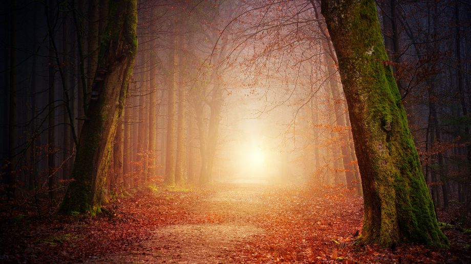 Resa till en annan värld