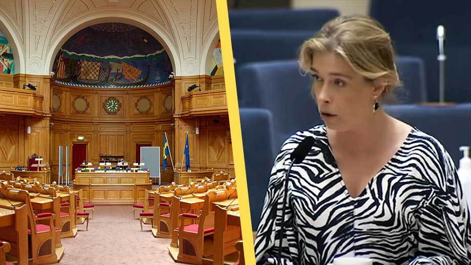 SD KU-anmäler Annika Strandhäll – ”ljuger om kärnkraften”