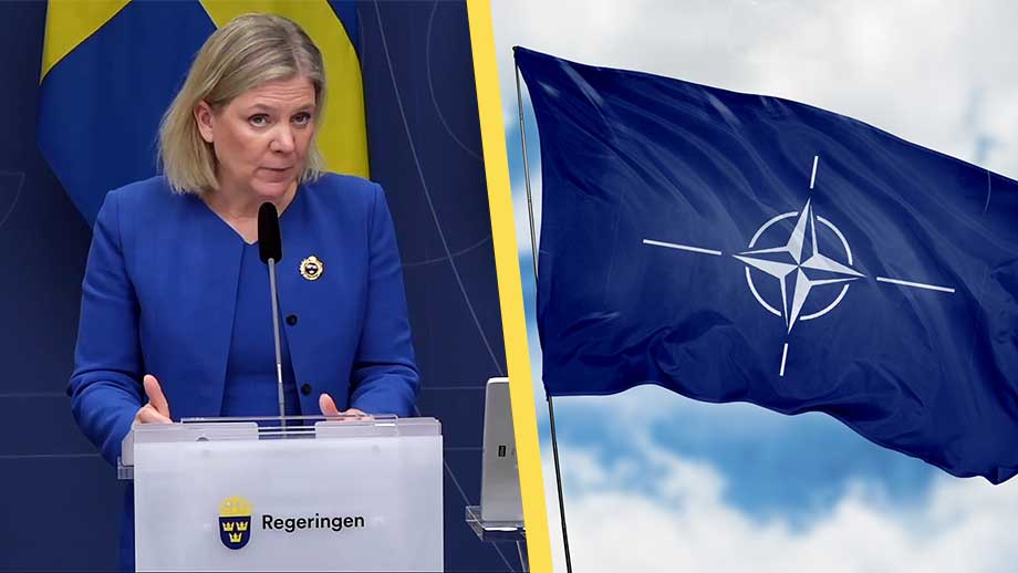 Regeringen: Folket ska ”absolut inte” få bestämma om medlemskap i Nato