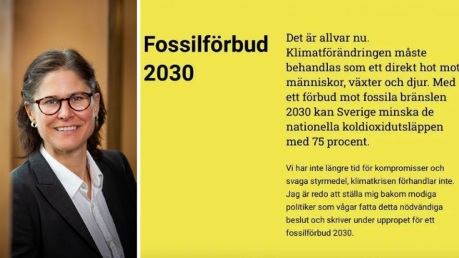 Naturskyddsföreningen kräver totalförbud av diesel och bensin – redan om åtta år