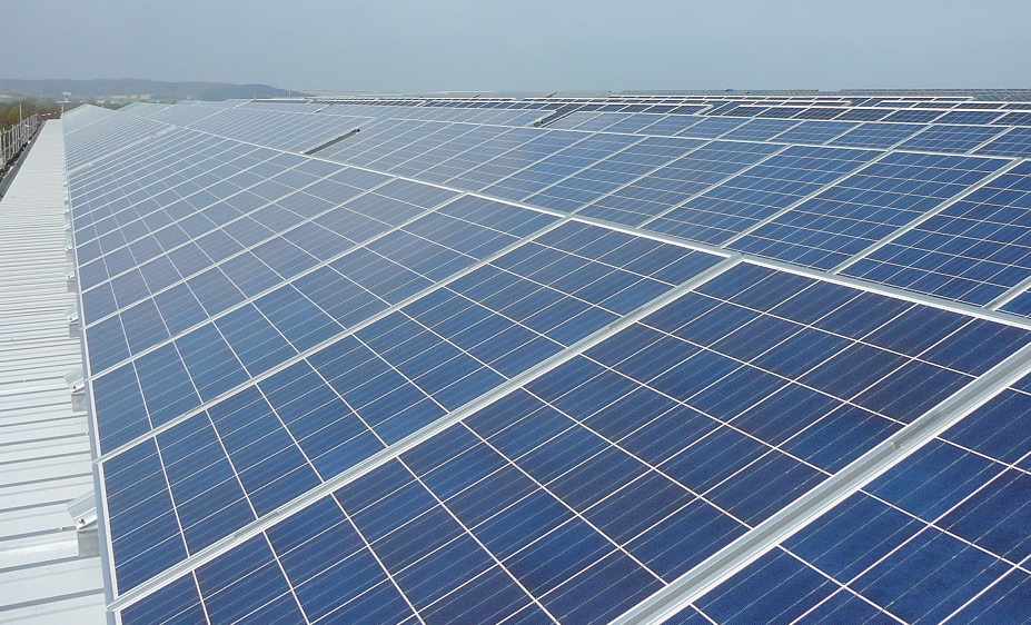 Bygget av Sveriges största solcellspark stoppas