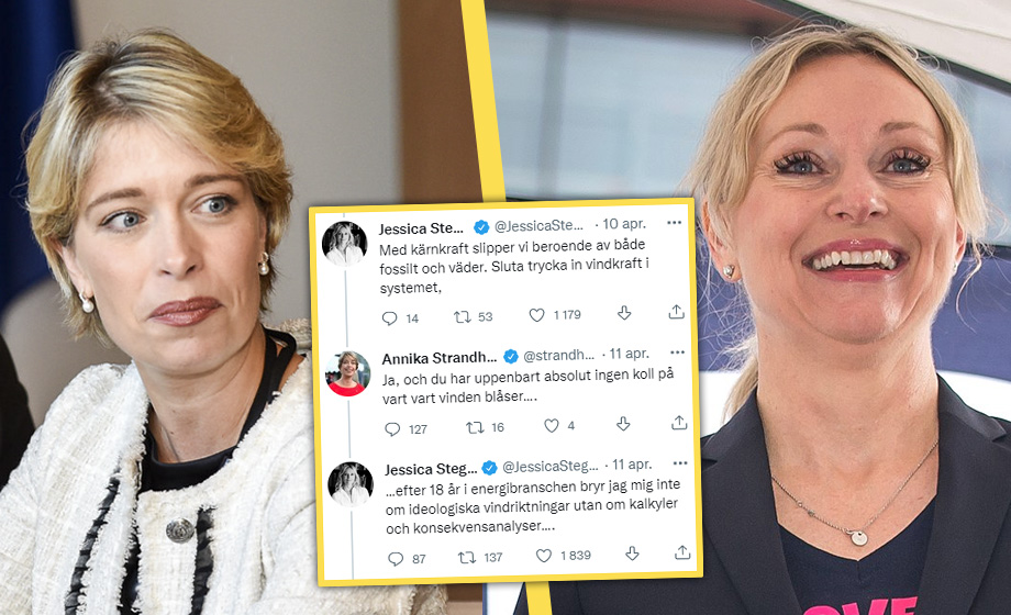 Jessica Stegruds (SD) Strandhäll-burn: ”18 år i energibranschen”