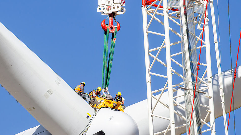 Byggde olaglig vindkraft – tvingas betala 330 miljoner för döda örnar