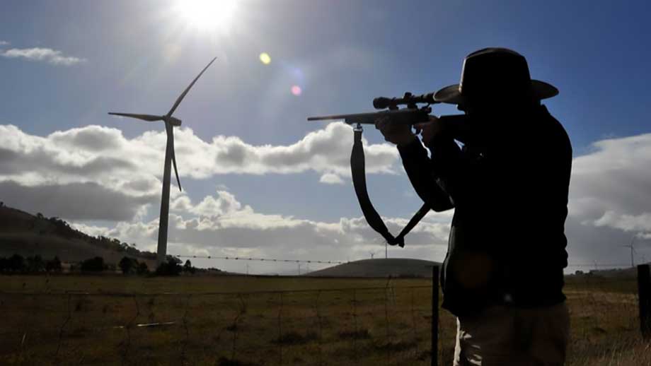 Skottlossning mot vindkraftverk – motivet oklart