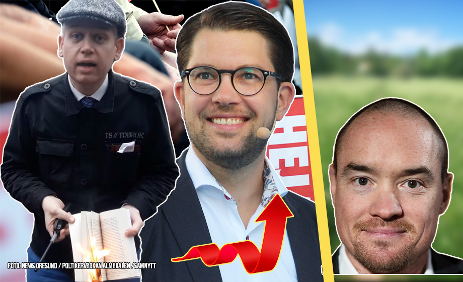 Ekeroth: ”SD kan vara tacksamma för Paludan”