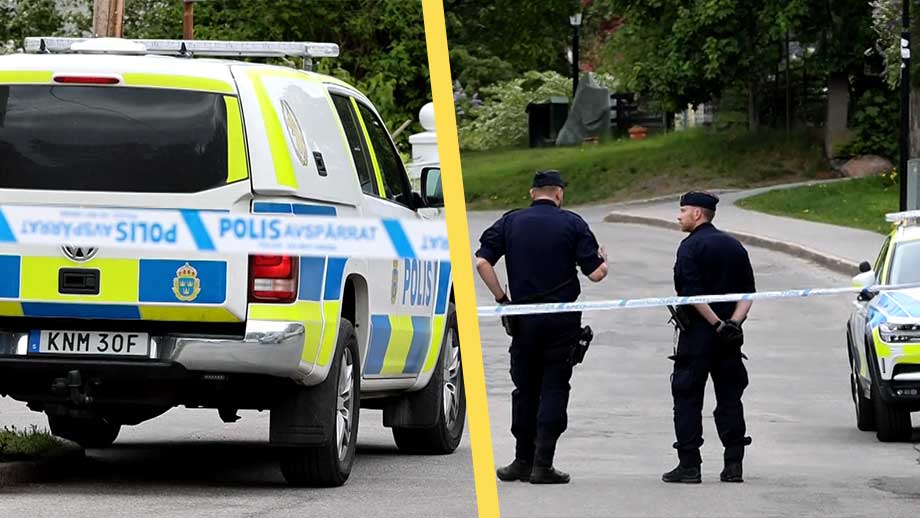 Mor och dotter mördade i Stockholmsförort – man gripen