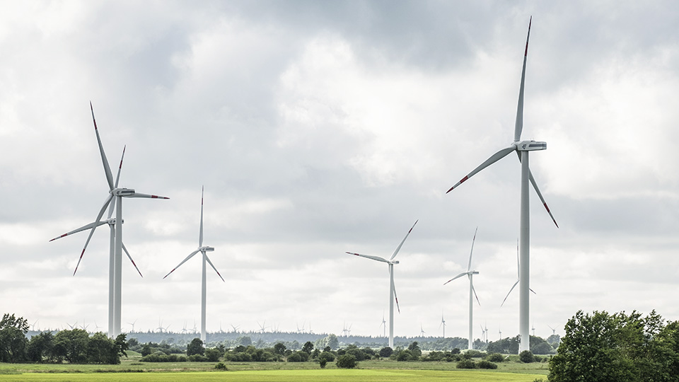 Larmet: Vindkraftverk kan läcka PFAS