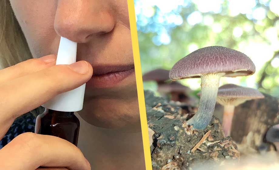 Psykedelisk nässprej kan hjälpa mot PTSD