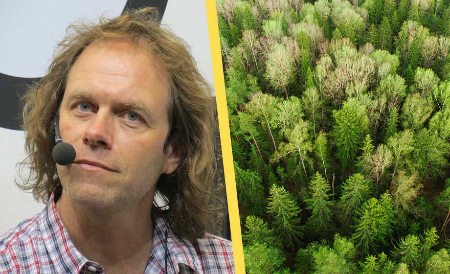 MP-toppens larm: ”Inte så mycket riktig skog kvar i Sverige”