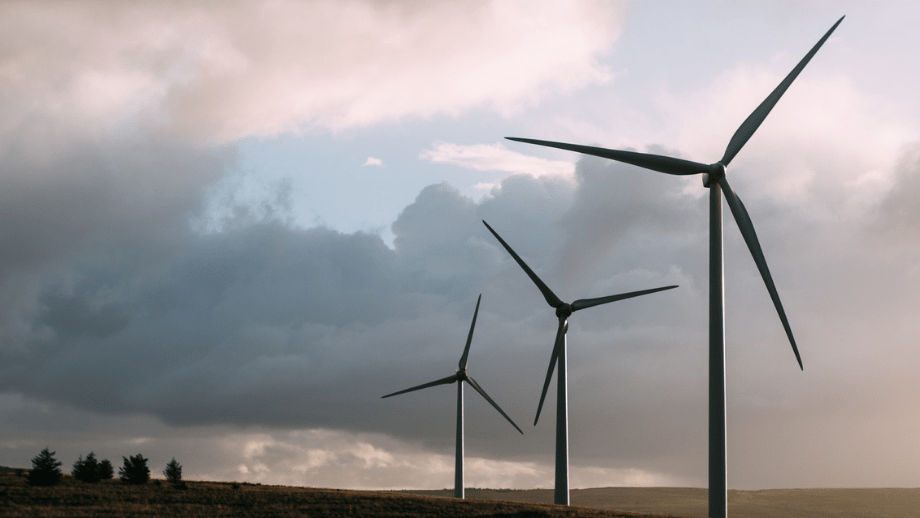 Kraftigt ökade kostnader med mer vindkraft