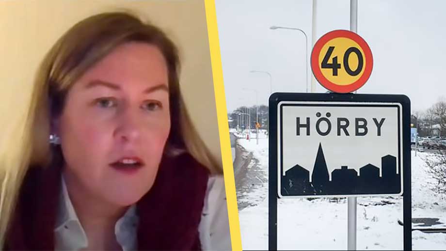 SD-topp anlitade svart utländsk arbetskraft – nu spricker styret med M