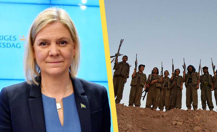 S kontaktade kurdiska företrädare i Syrien för att få Kakabaveh rösta rätt