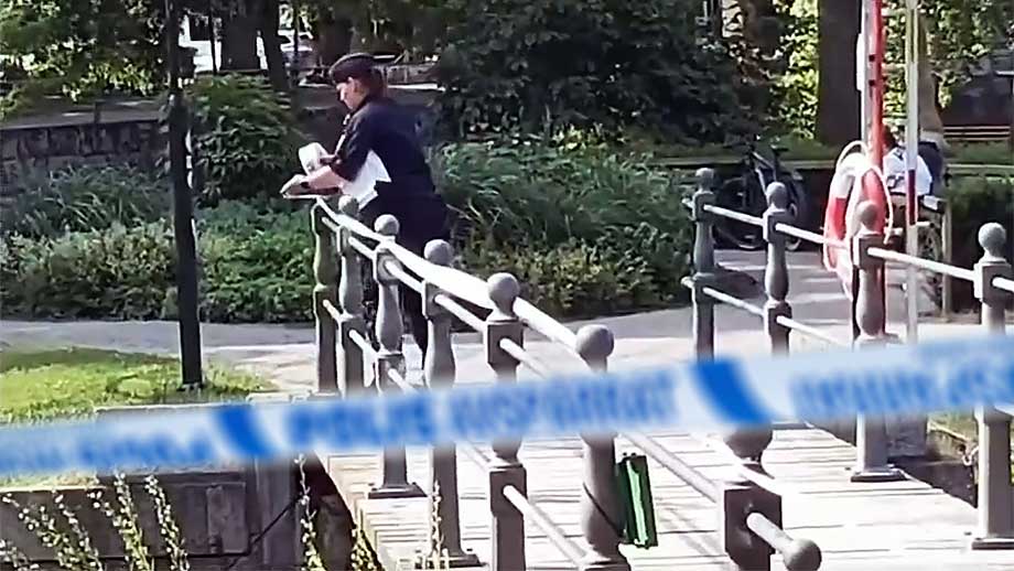 Tonårsflicka överfallen och våldtagen i park