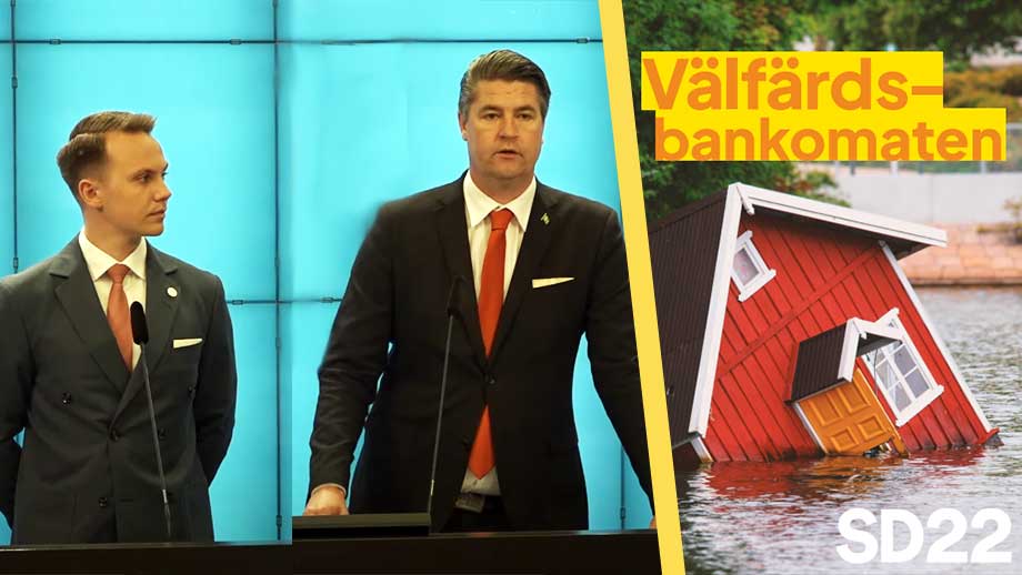 SD: Så ska bidragsfusk och illegala stoppas