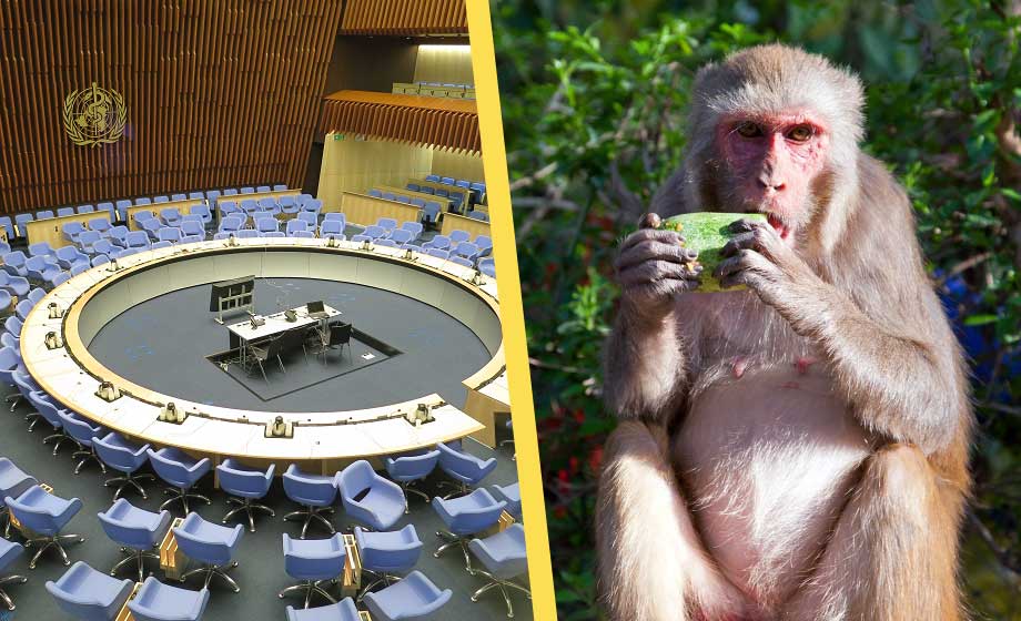 Apkoppor alltför kopplat till Afrika – döps om