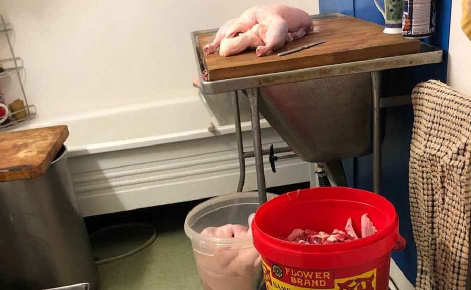 Bedrev restaurangkök i lägenhet – styckade ankor på toaletten