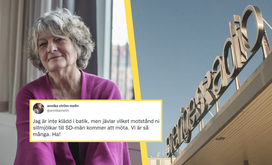 Tidigare SR-toppen: ”Jävlar vilket motstånd ni sillmjölkar till SD-män kommer att möta”