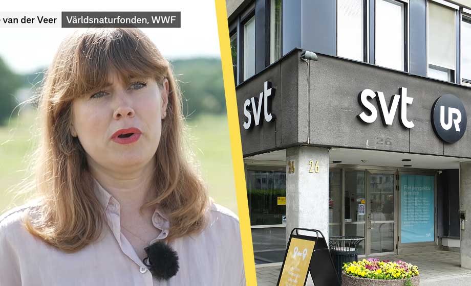 Kritik mot klimatpropaganda i SVT