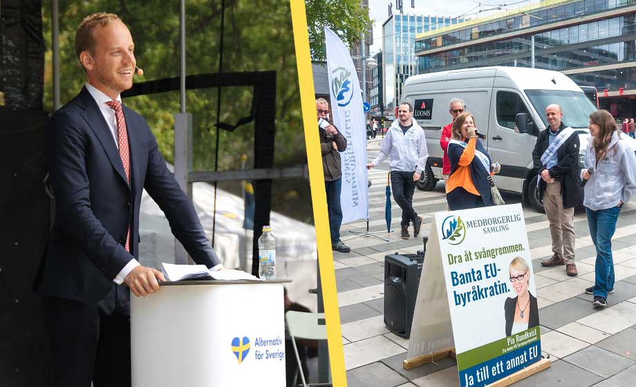 Så stora är partierna i gruppen ’övriga partier’