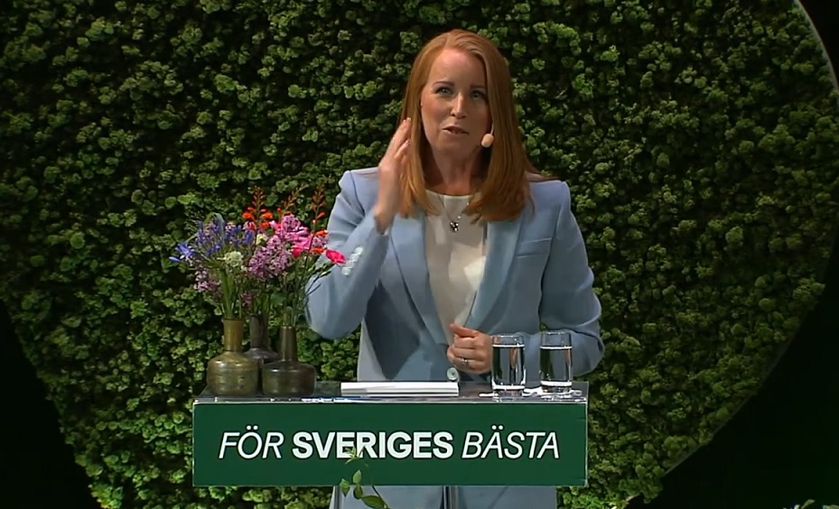 Annie Lööfs valvarning: ”Rasistiska” SD kan få inflytande