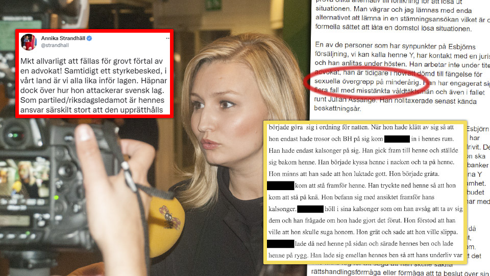 Ebba Busch dömdes för förtal – men vad handlade domen om?