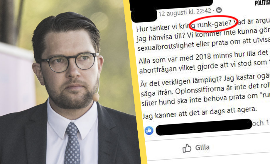 Dickpic-politikern i SD ville ha MP:s migrationspolitik