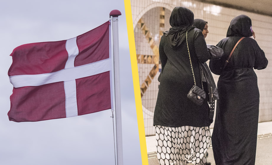 Tusentals invandrare flyttade från Danmark till Sverige efter hårdare danska regler