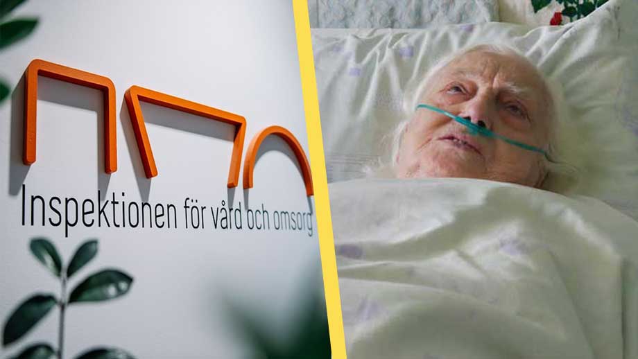 Larmrapport från Ivo: Allvarlig politisk vanskötsel av äldreomsorgen