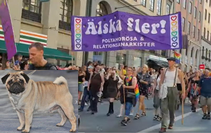 WHO: Risk för apkoppor om du låter pridemän klappa hunden