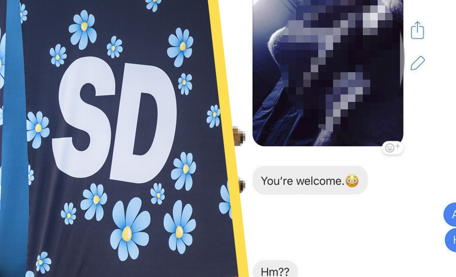 LÄS gifte SD-riksdagsmannens SEXCHATT – kritiseras för ”dickpics” till kvinnor
