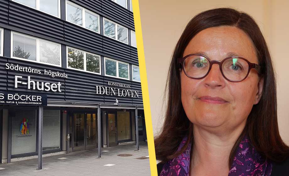 Kritik mot S-anklagelser om att SD inte värnar forskningsfriheten