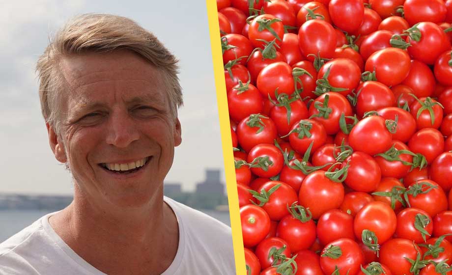 Elpriset sänker Sveriges största tomatproducent