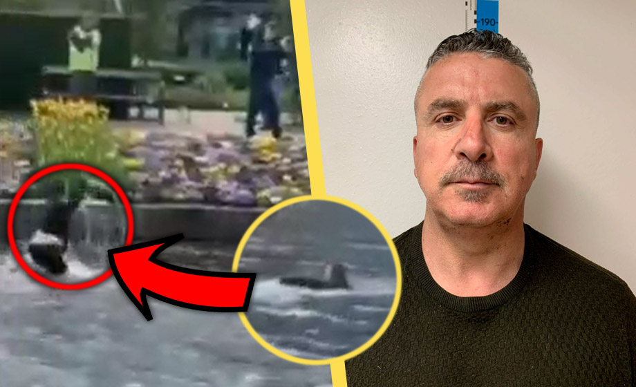 ”Sim-turken” kastade sten på Paludan – sparkades från jobbet