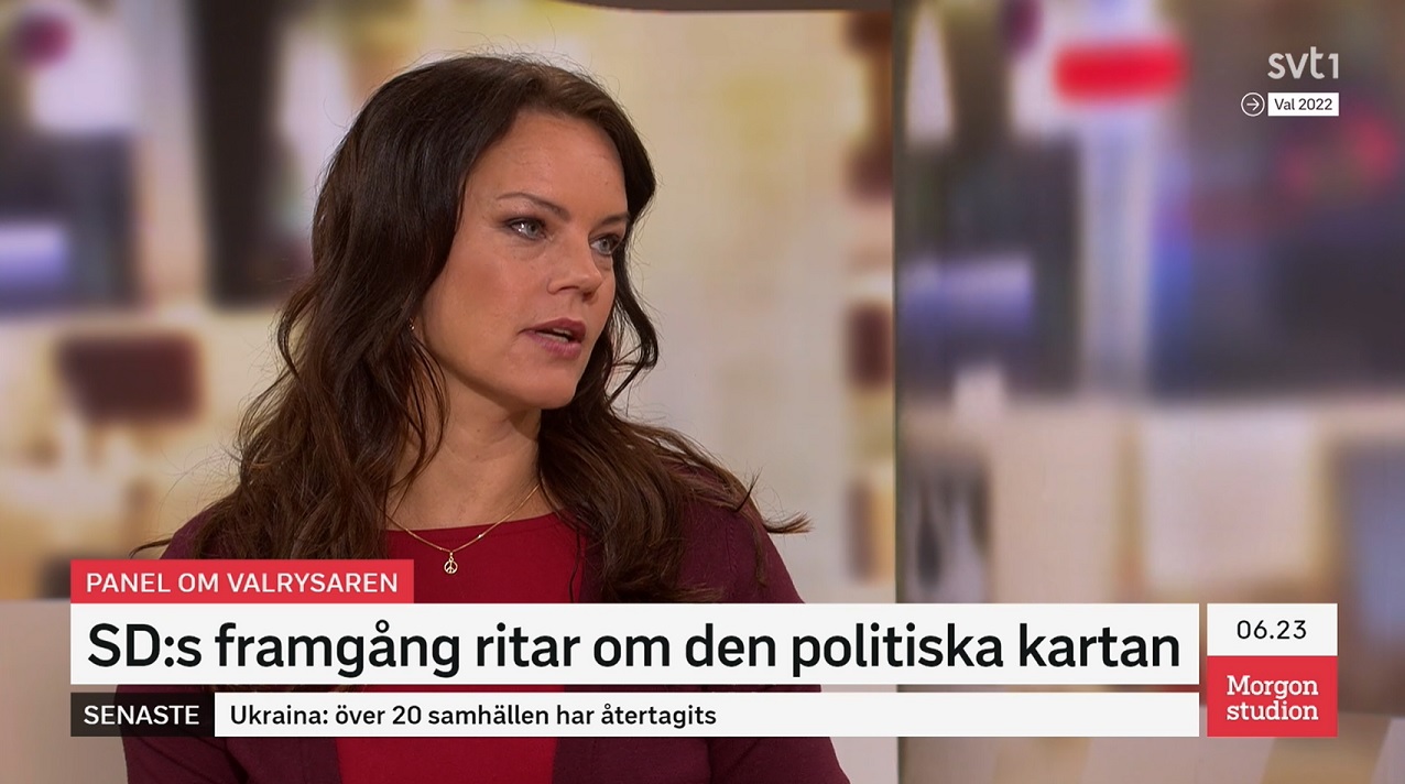 S-toppen: Valet ’misslyckande för demokratin’