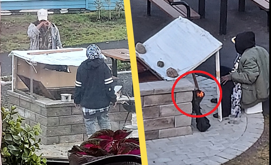 BILDEXTRA: ”Diplomatfamilj” lagar mat av grannarnas sopor