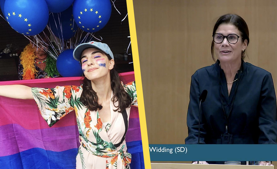 SD-hatande klimatministern attackerar Widding (SD): ”Vetenskapsförnekare”