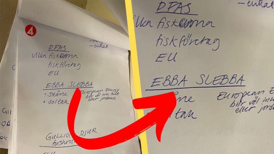 TV4-chefen bekräftar: Vår reporter skrev ”EBBA SLEBBA” i riksdagen